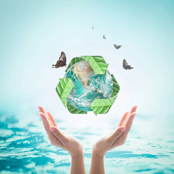 Reciclagem Águas Residuais Eco Friendly Economia Conceito Sustentabilidade Biológica Elementos — Fotografia de Stock