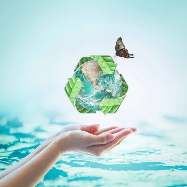 Reciclagem Águas Residuais Eco Friendly Economia Conceito Sustentabilidade Biológica Elementos — Fotografia de Stock