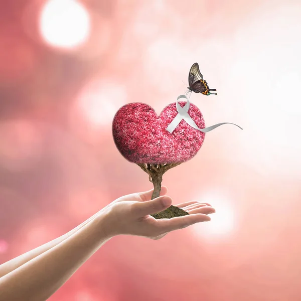 Consciência Fita Branca Coração Vermelho Amor Árvore Para Dia Internacional — Fotografia de Stock