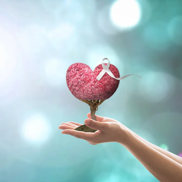 Consciência Fita Branca Árvore Coração Amor Vermelho Para Dia Internacional — Fotografia de Stock