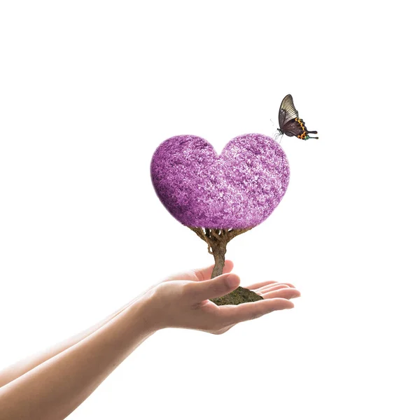 Conceito Celebração Dia Dos Namorados Feliz Com Árvore Coração Roxo — Fotografia de Stock