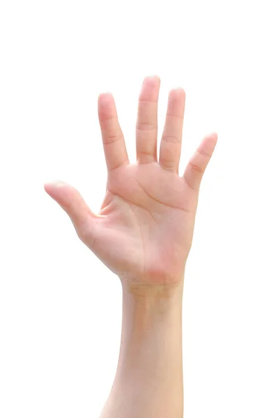 Vereinzelte Weibliche Menschliche Hand Die Sich Auf Weißem Hintergrund Erhebt — Stockfoto