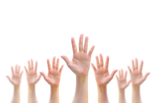 Wiele Osób Kobiety Ręce Odizolowane Białym Tle Podnosząc Się Pokazując — Zdjęcie stockowe