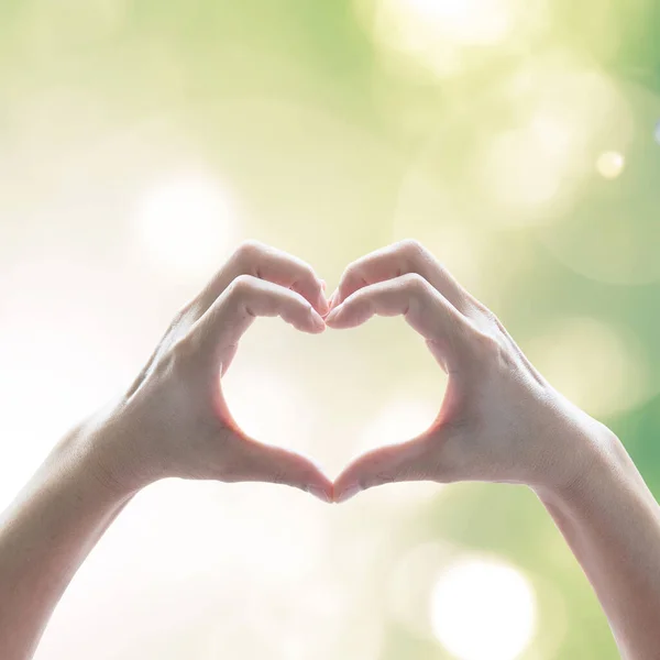 Hand Heart Shape Eco Friendly Environment Csr Natural Resource Awareness — Stock Photo, Image