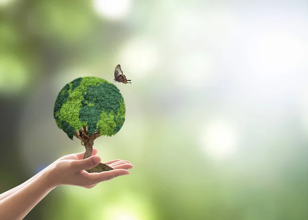 Árvore Globo Verde Mão Voluntário Para Meio Ambiente Sustentável Conservação — Fotografia de Stock