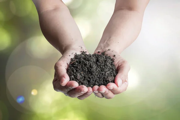 World soil day concept with humus black soil perfect for agricultural cultivation in hands