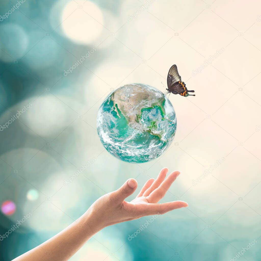World environment day, ecology and ozone layer protection concept with woman's hand supporting earth planet under sun light flare with beautiful butterfly: Elements of this image furnished by NASA
