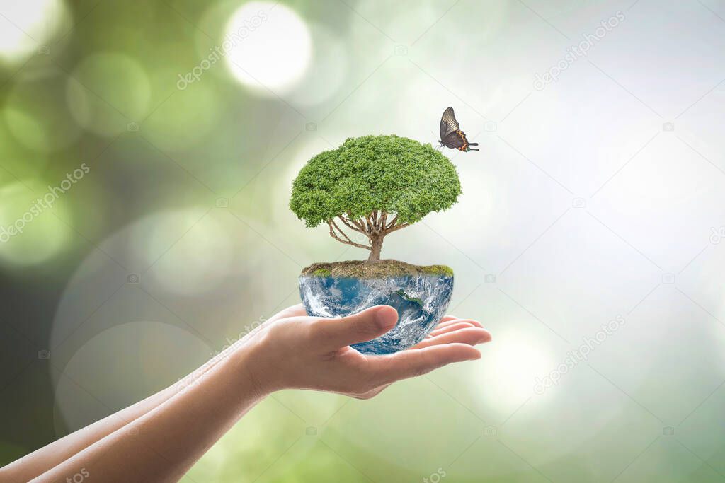 Saving environment and natural conservation concept with tree planing on green globe earth on volunteer's hands: Elements of this image furnished by NASA