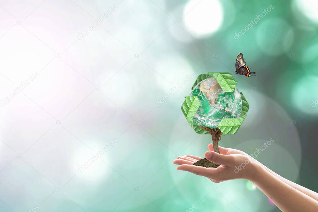 Waste recycle management, energy saving awareness, ecological sustainability and tree planting concept: Elements of this image furnished by NASA