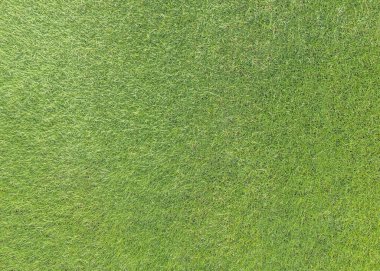 Doğal çimen desenli arka plan golf sahası çimenliği. Parlak sarı renkli.