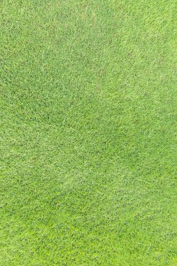 Doğal çimen desenli arka plan golf sahası çimenliği. Parlak sarı renkli.