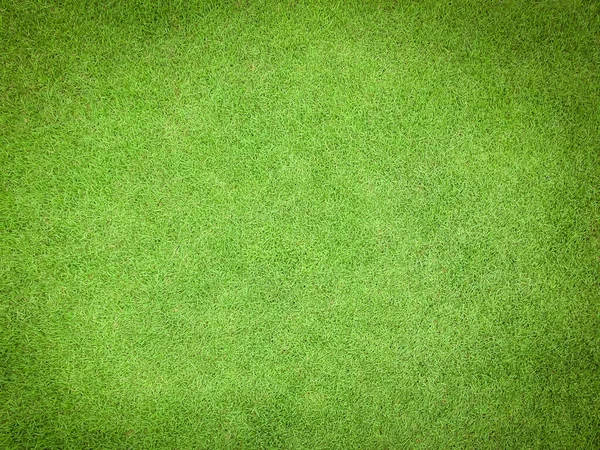 天然草质图案背景高尔夫球场草坪从顶部看黄绿色明亮的草坪 — 图库照片