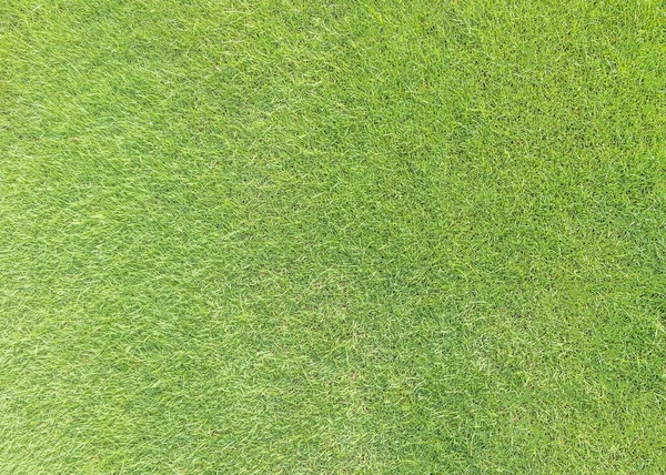 Naturrasen Textur Muster Hintergrund Golfplatz Rasen Von Oben Ansicht Heller — Stockfoto