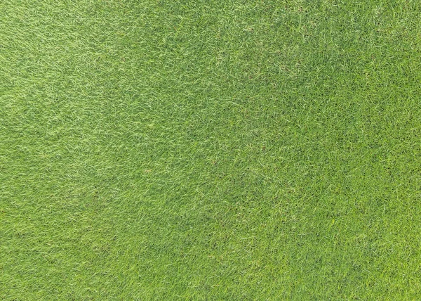 天然草质图案背景高尔夫球场草坪从顶部看黄绿色明亮的草坪 — 图库照片