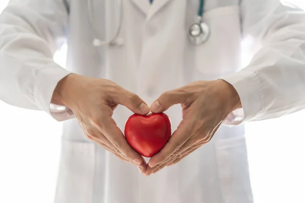 Enfermedades Cardiovasculares Médico Cardiólogo Que Sostiene Corazón Rojo Clínica Consultorio — Foto de Stock