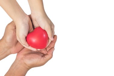 Baba ve çocuk elleri, hayat sigortası, organ bağışı hayır kurumu, çocuk bakımı ve aile sağlığı sigortası için kırmızı kalbi (beyaz arka planda, kırpma yolunda) tutar 