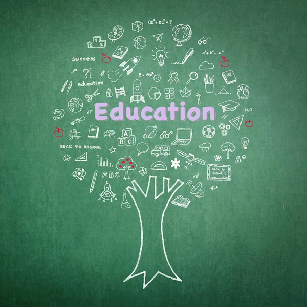 Árvore Conhecimento Conceito Educação Quadro Verde Com Doodle — Fotografia de Stock