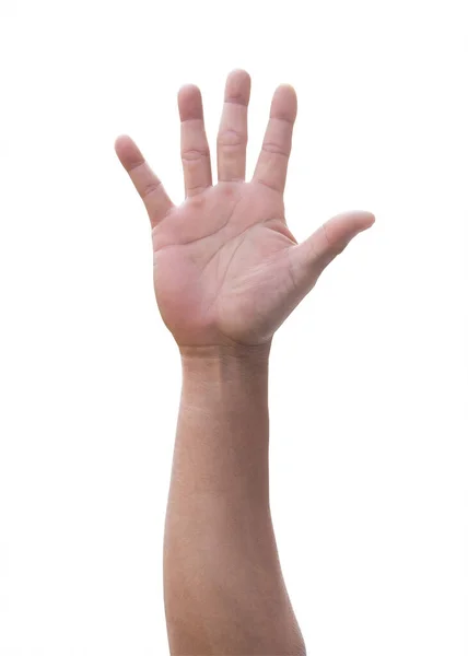 Рука Долоні Чоловіка Піднімає Ять Пальців Ізольовано Білому Тлі Відсічним — стокове фото