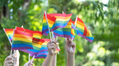 LGBT pride or Gay pride with rainbow flag for lesbian, gay, bisexual, and transgender people human rights social equality movements in June month clipart