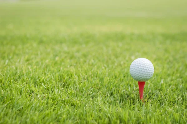 赤いティーのゴルフボールは緑の芝生のコースの芝生のフィールドの自然公園の背景に空のコピースペースで始まる — ストック写真