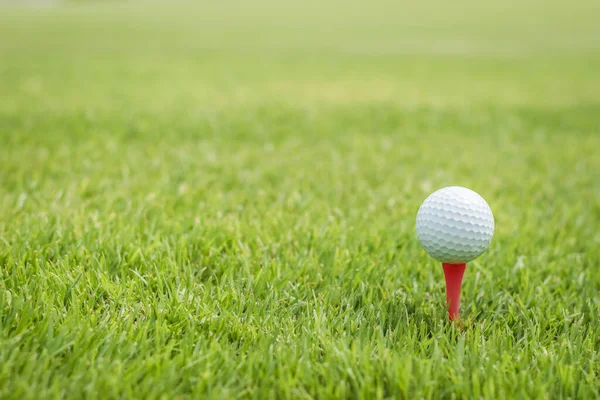 Bola Golfe Tee Vermelho Começar Campo Grama Verde Gramado Campo — Fotografia de Stock