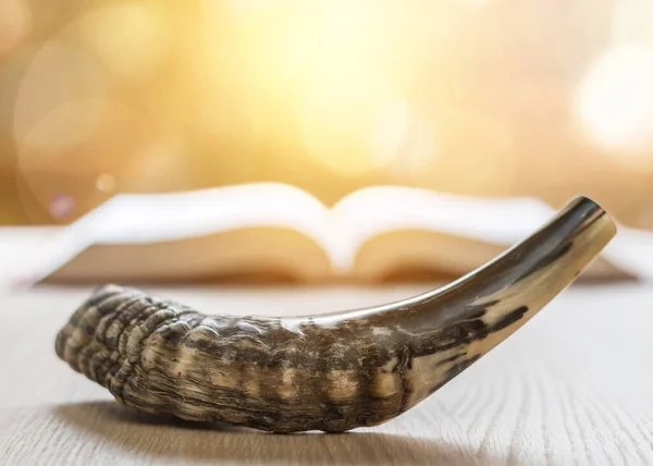 Yom Kippur Rosh Hashanah Hashana Ram Shofar Boynuz Ile Yahudi — Stok fotoğraf