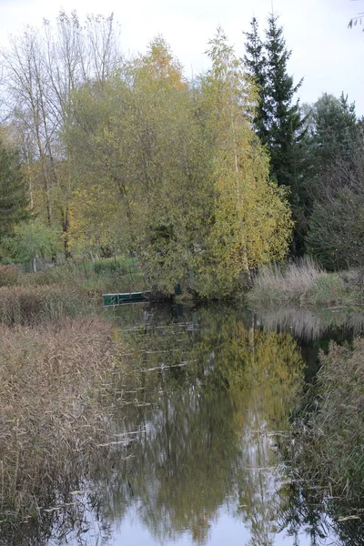 Forêt Automne Reflète Dans Rivière — Photo