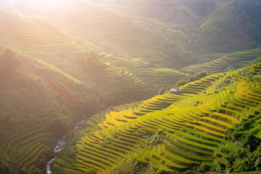 Vietnam Mu Cang Chai güzel pirinç teras sahada dağlar 
