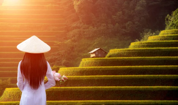 Vietnamita Dai Vestido Tradicional Vietnã Campo Arroz Montanha Terraço — Fotografia de Stock