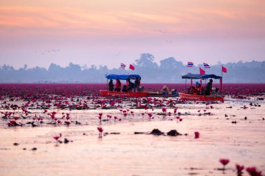 2017-12-18 Udon Thani Tayland kırmızı lotus gölün güzelliğini güneşin doğuşunu izlemek için turistlere tekne. Güzel simgesel yapı Turizm Udon Thani Tayland olduğunu.