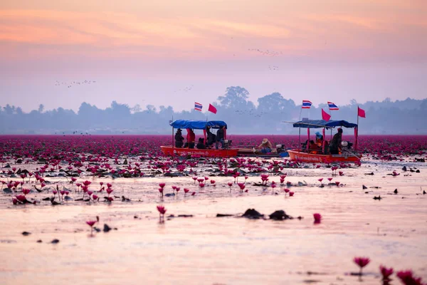 2017 Udon Thani Tailandia Los Turistas Barco Para Ver Belleza —  Fotos de Stock