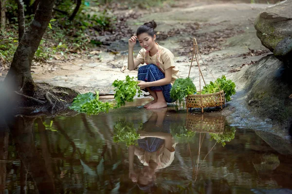 Laotiska Kvinna Vientiane Laos Rengöring Riverside Grönsaker Och Speglar — Stockfoto