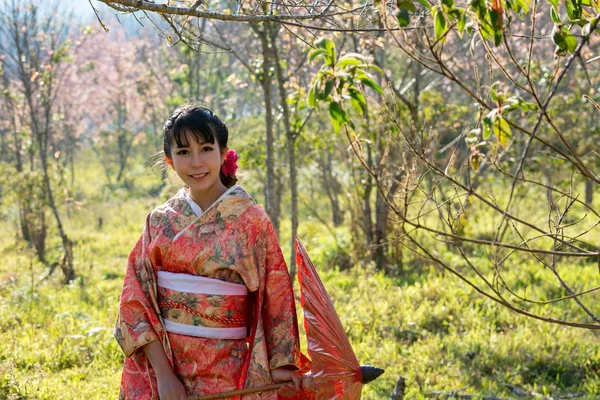 Donna Che Indossa Kimono Cultura Giapponese Abbigliamento Kimono Abito Tradizionale — Foto Stock