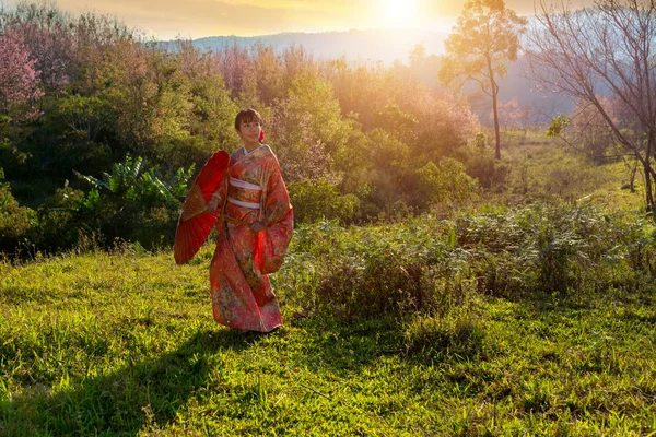 Woman Wearing Kimono Japanese Culture Kimono Clothing Traditional Dress Japanese — Stock Photo, Image