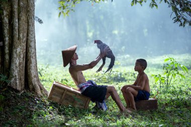 Baba ve oğul Gamecocks'u ısıtıyor. Horoz dövüşü ringinde yarışmak için. Kültür insanların sporudur..