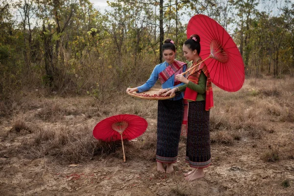 Thailandia. Due belle donne loro raccolta peperoncino — Foto Stock