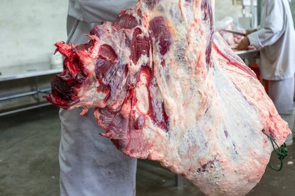 屠殺場の牛肉 — ストック写真