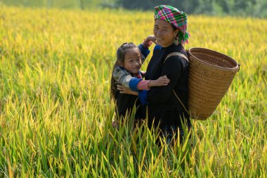 Vietnamlı Çiftçi Anne ve kızı Mu Cang Chai City Vietnam teraspirinç alanında neşeli edildi