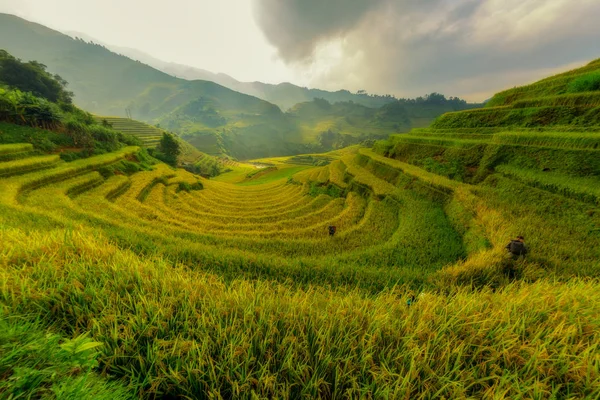 Mu Cang Chai Vietnã O belo campo de arroz em terraço o melhor — Fotografia de Stock