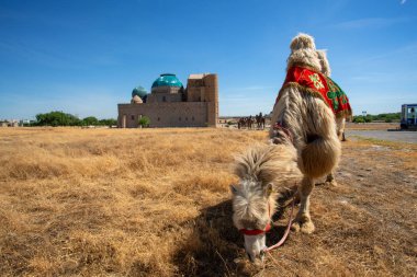 Camel at Mausoleum of Khoja Ahmed Yasawi Turkestan Kazakhstan. clipart