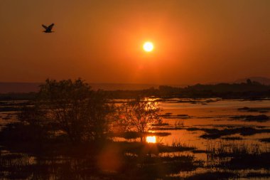 Çerçeve içinde göl günbatımı kuş