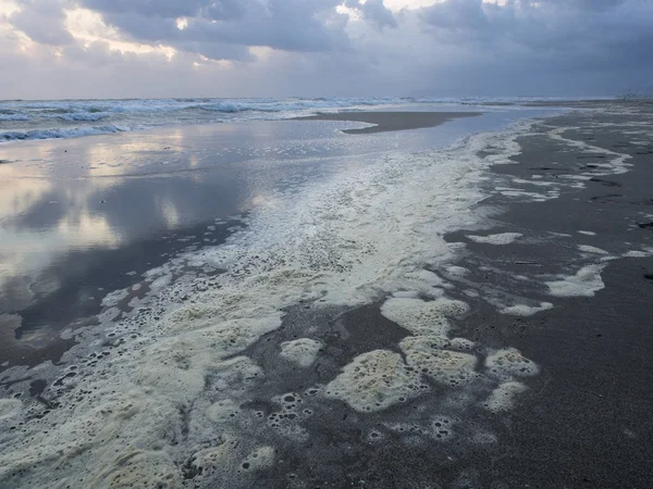 foam caused by pollution of the ocean  on the beach in a cloudy day