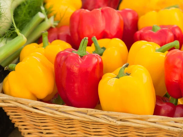 organic red and yellow pepper in a wicker basket at a country marke