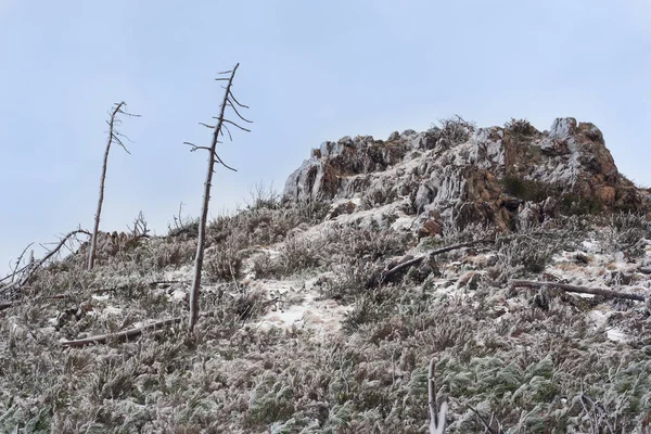 Desolate Landscape Hill Rocks Dead Trees Shrubs Covered Ice Freezing — Stock Photo, Image