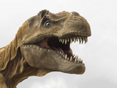 Bir Tyrannosaurus rex (T-rex) en büyük etobur dinozor, beyaz adam baş modeli