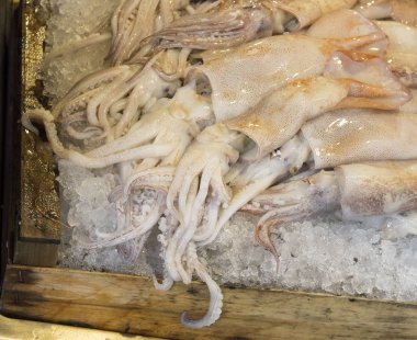 buzda balık marke satışa taze mürekkep (Loligo vulgaris)