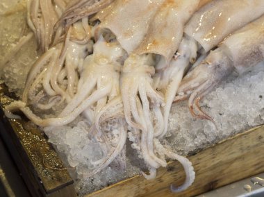 buzda balık marke satışa taze mürekkep (Loligo vulgaris)