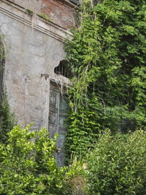 Terk edilmiş eski bir villanın ayrıntıları: Vege ile çevrili ahşap kapı