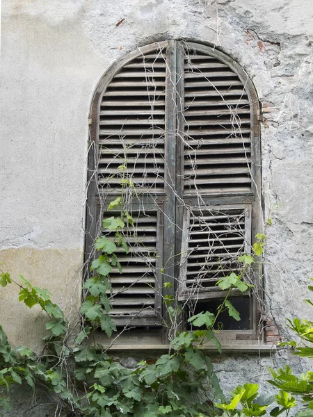 Stare okno z drewnianymi okiennicami otoczonym roślinnością — Zdjęcie stockowe