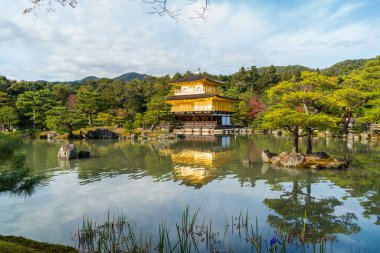Kinkakuji Tapınağı, Kyoto Japonya altın köşk